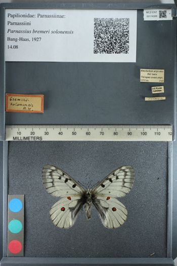 Media type: image;   Entomology 174306